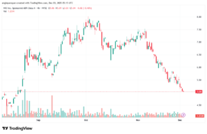 تحليل سهم نيو NIO-3-12-2025