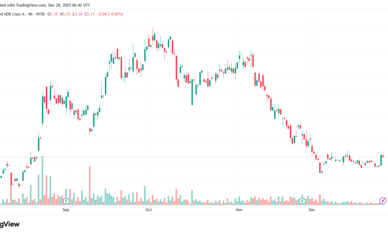 تحليل سهم نيو NIO-29-12-2025
