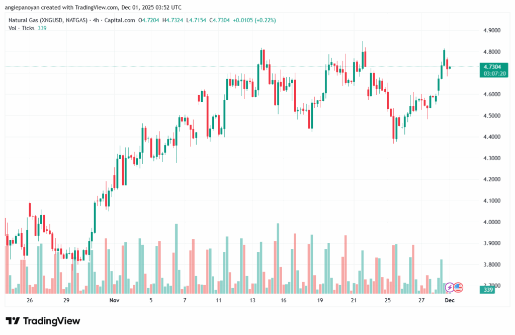 تحليل-NZDUSD-1-12-2025
