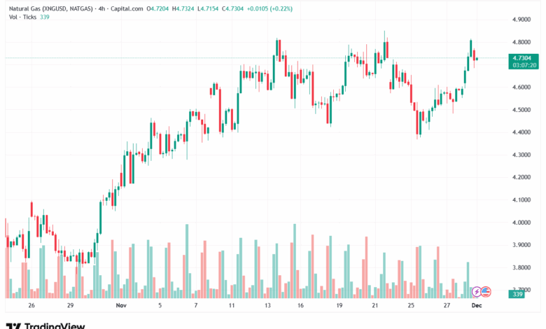 تحليل-NZDUSD-1-12-2025