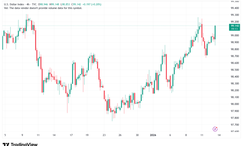 تحليل مؤشر الدولار الامريكي- Dollar Index (DXY)-13/1/2026