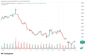 تحليل الغاز الطبيعي NATURAL GAS 8-1-2026