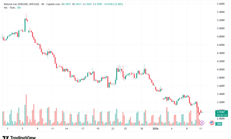 تحليل الغاز الطبيعي NATURAL GAS 12-1-2026