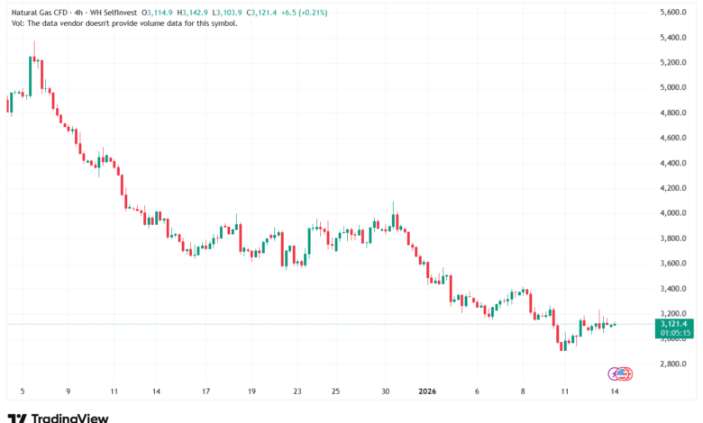 تحليل الغاز الطبيعي NATURAL GAS 14-1-2026