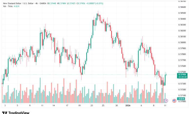 تحليل-NZDUSD-12-1-2026