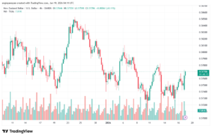 تحليل-NZDUSD-19-1-2026