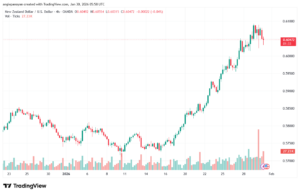 تحليل-NZDUSD-30-1-2026