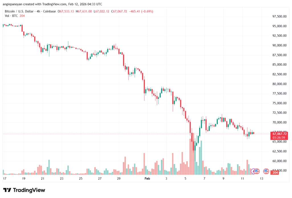 تحليل البتكوين دولار BTCUSD-12-02-2026