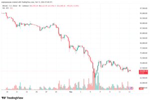 تحليل البتكوين دولار BTCUSD-13-02-2026