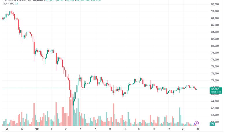 تحليل البتكوين دولار BTCUSD-23-02-2026