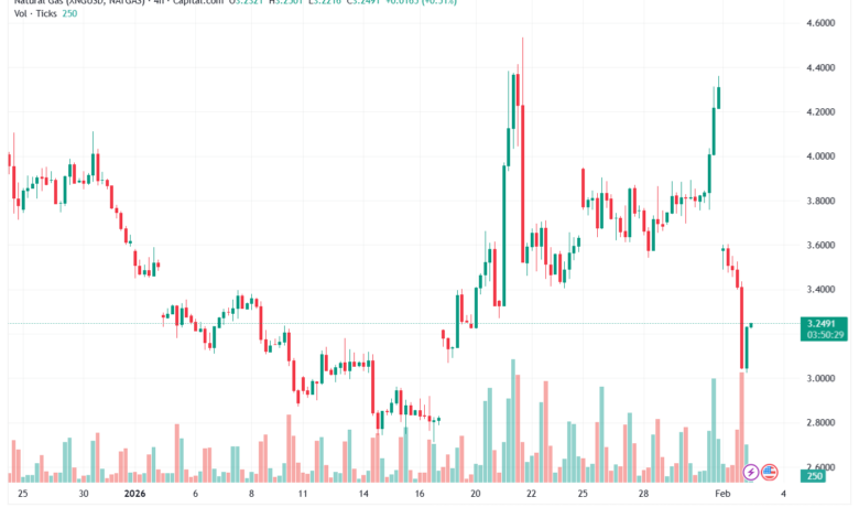 تحليل الغاز الطبيعي NATURAL GAS 3-02-2026