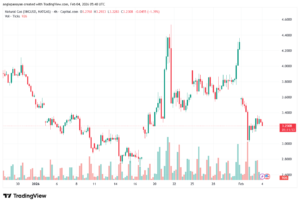 تحليل الغاز الطبيعي NATURAL GAS 4-02-2026