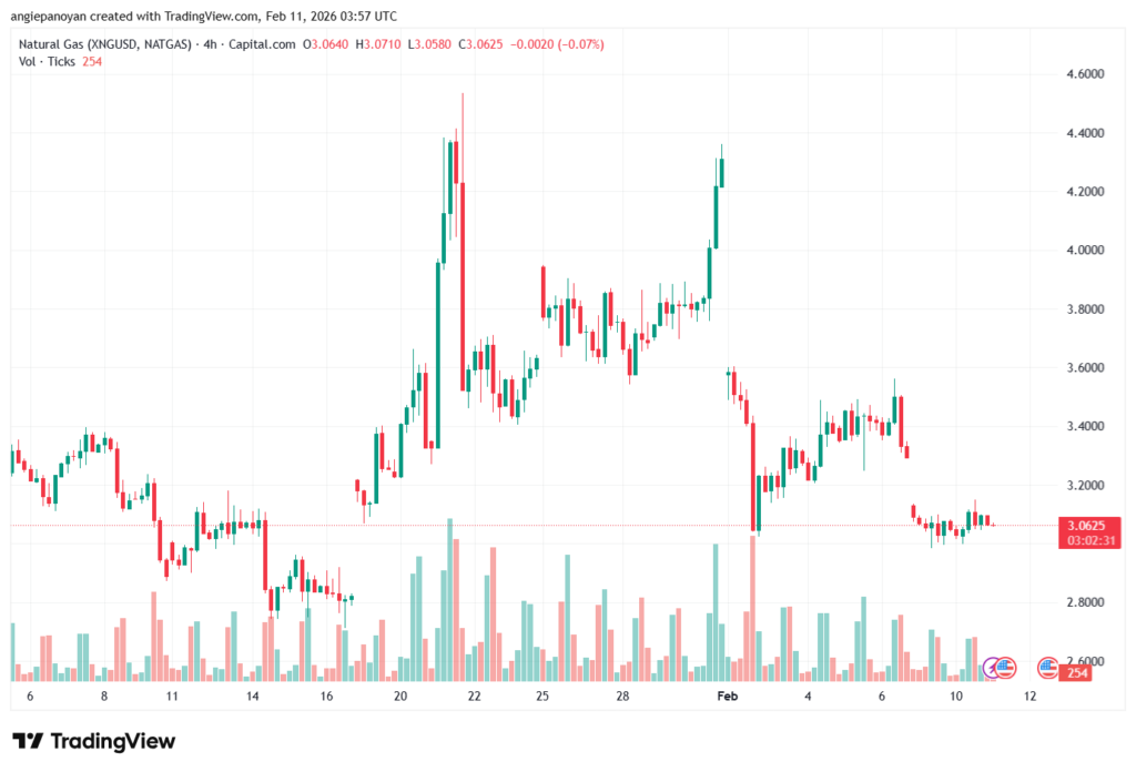 تحليل الغاز الطبيعي NATURAL GAS 11-02-2026