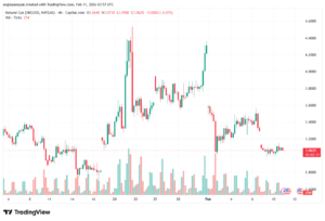 تحليل الغاز الطبيعي NATURAL GAS 11-02-2026