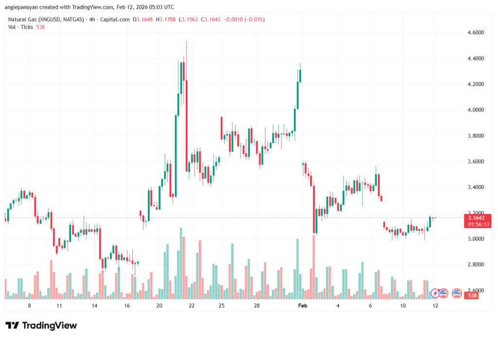 تحليل الغاز الطبيعي NATURAL GAS 12-02-2026