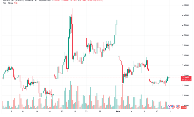 تحليل الغاز الطبيعي NATURAL GAS 12-02-2026