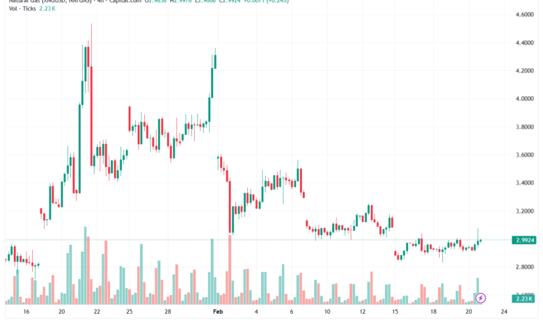 تحليل الغاز الطبيعي NATURAL GAS 23-02-2026