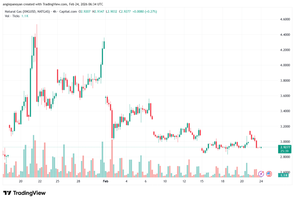 تحليل الغاز الطبيعي NATURAL GAS 24-02-2026