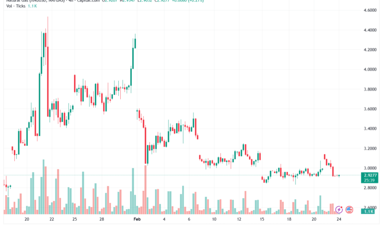 تحليل الغاز الطبيعي NATURAL GAS 24-02-2026