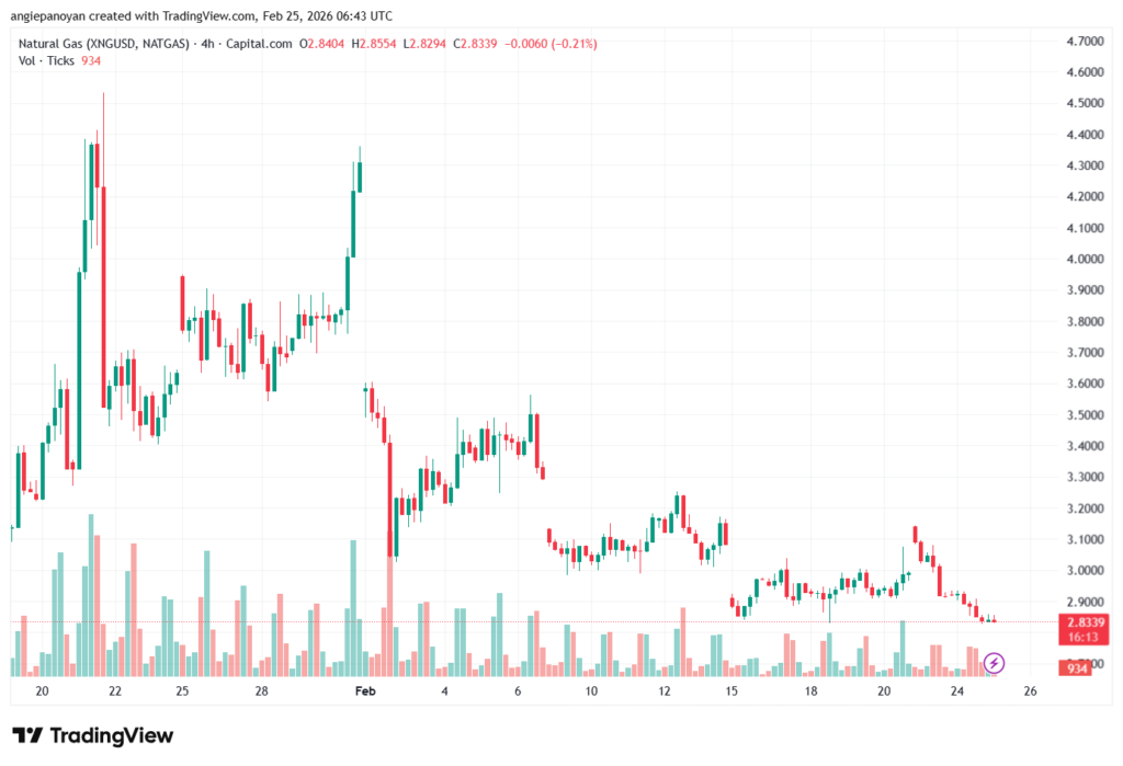 تحليل الغاز الطبيعي NATURAL GAS 25-02-2026