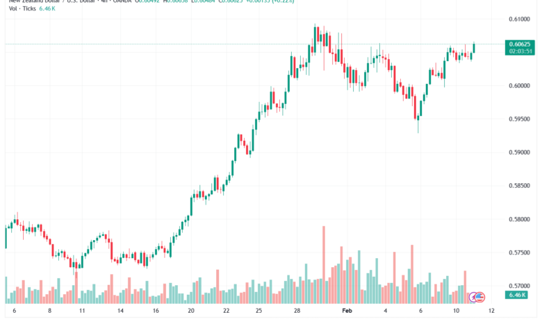 تحليل-NZDUSD-11-02-2026