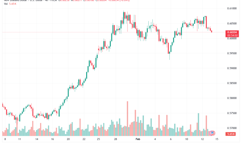 تحليل-NZDUSD-13-02-2026
