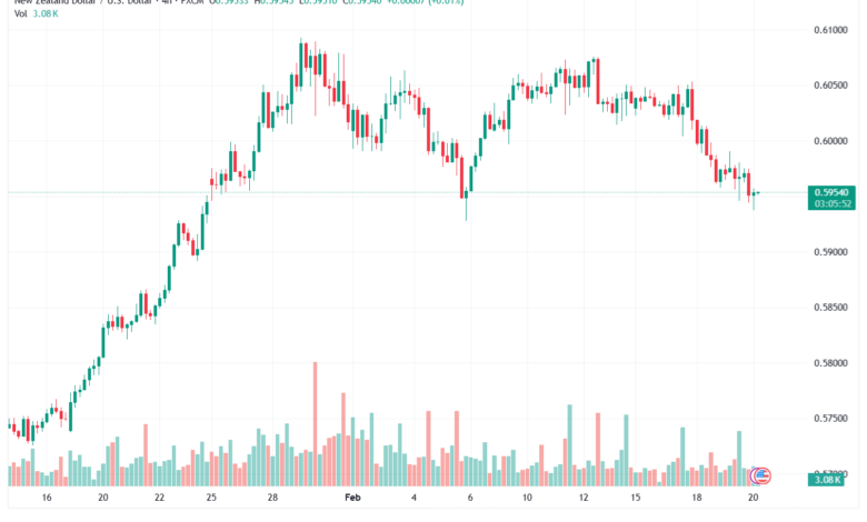 تحليل-NZDUSD-20-02-2026