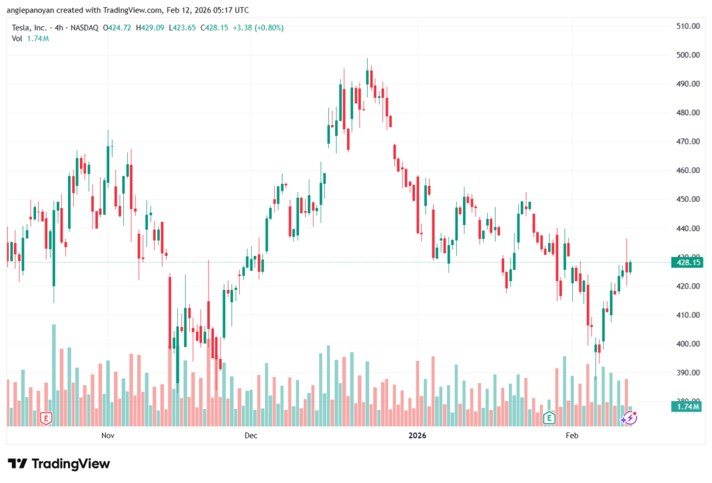 تحليل سهم تسلا الفني TSLA -12-02-2026