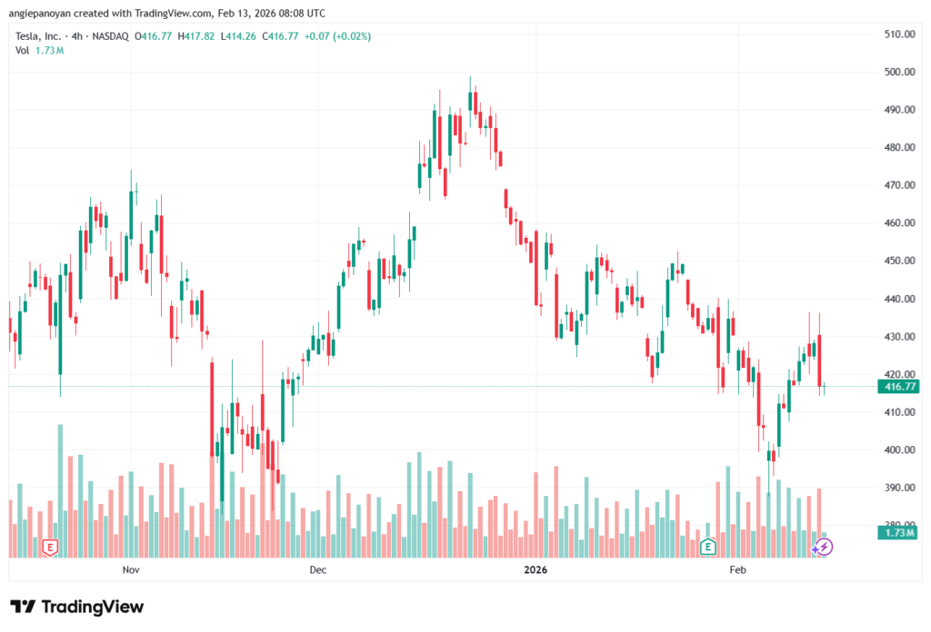 تحليل سهم تسلا الفني TSLA -13-02-2026