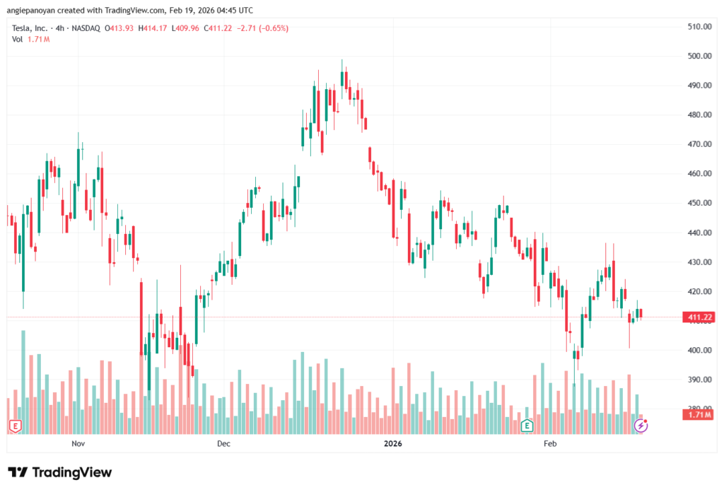تحليل سهم تسلا الفني TSLA -19-02-2026