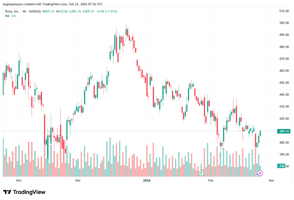 تحليل سهم تسلا الفني TSLA -25-02-2026