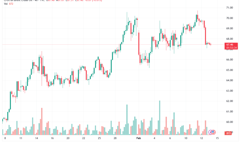 تحليل خام برنت 13-02-2026 BRENT OIL