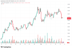 تحليل النفط CRUDE OIL -13-02-2026