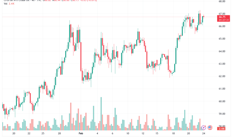تحليل النفط CRUDE OIL -24-02-2026