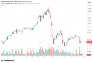 تحليل الفضة 13-02-2026 SILVER XAGUSD