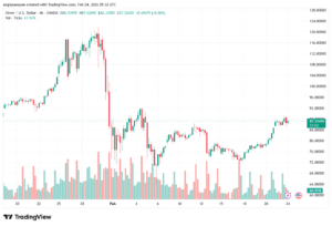 تحليل الفضة 24-02-2026 SILVER XAGUSD