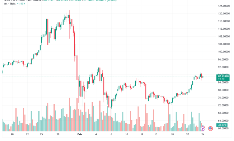 تحليل الفضة 24-02-2026 SILVER XAGUSD