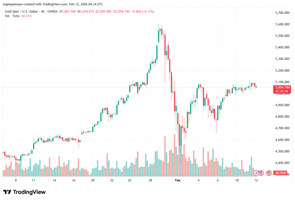 تحليل الذهب-XAUUSD-12-02-2026