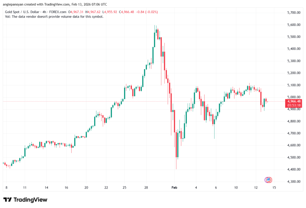 تحليل الذهب-XAUUSD-13-02-2026