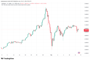 تحليل الذهب-XAUUSD-13-02-2026