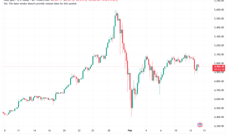 تحليل الذهب-XAUUSD-13-02-2026