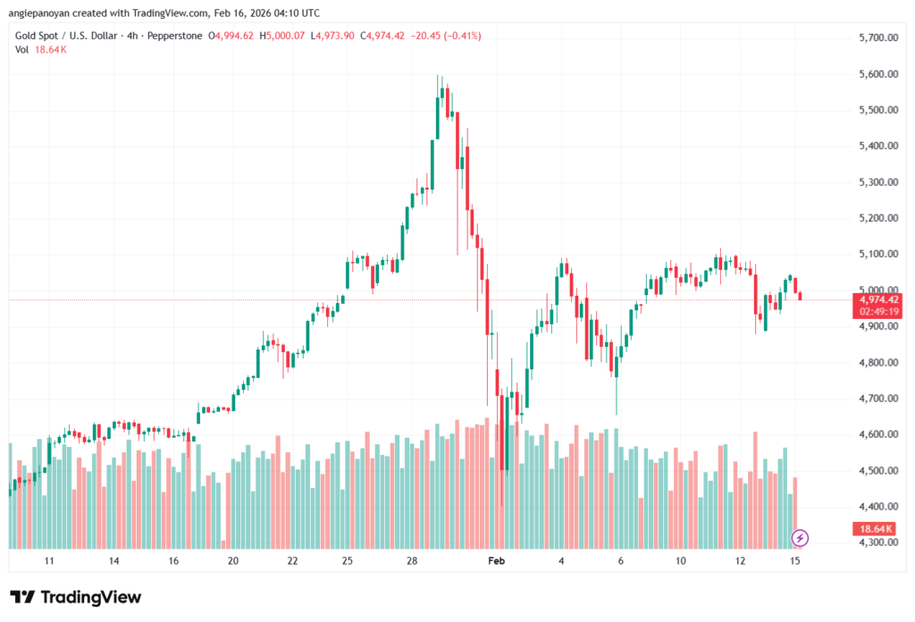 تحليل الذهب-XAUUSD-16-02-2026