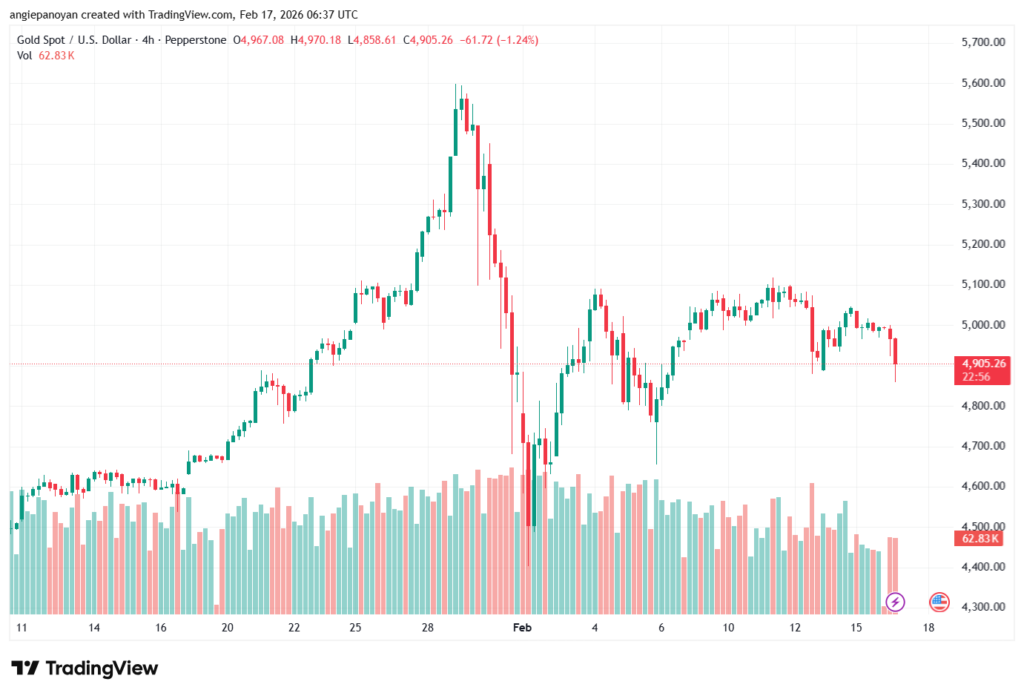 تحليل الذهب-XAUUSD-17-02-2026