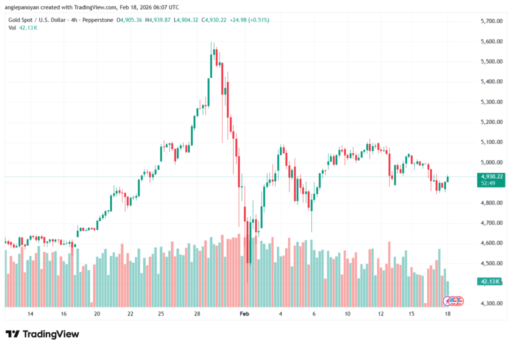 تحليل الذهب-XAUUSD-18-02-2026