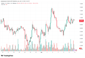 تحليل البتكوين دولار BTCUSD-13-03-2026