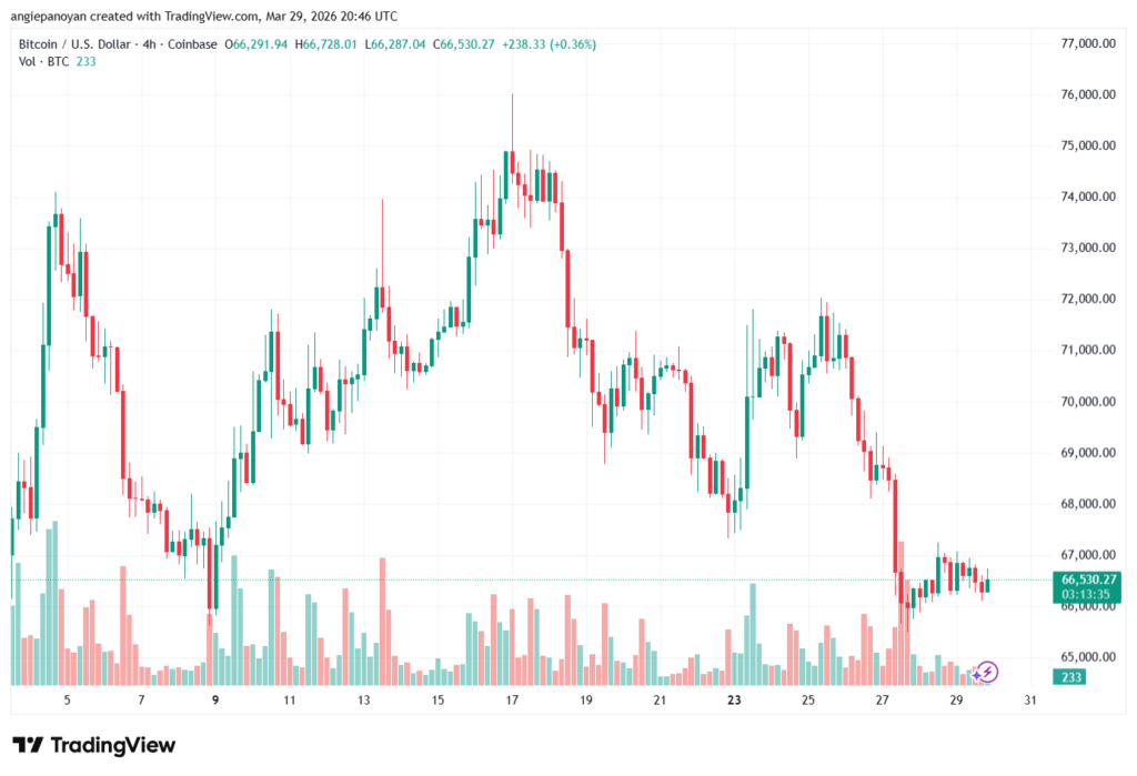 تحليل البتكوين دولار BTCUSD-30-03-2026