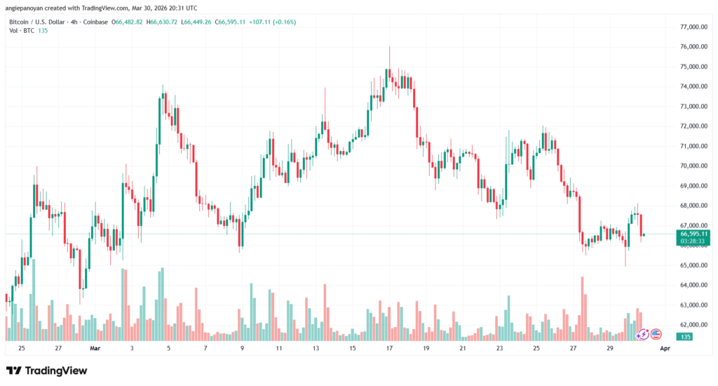 تحليل البتكوين دولار BTCUSD-31-03-2026
