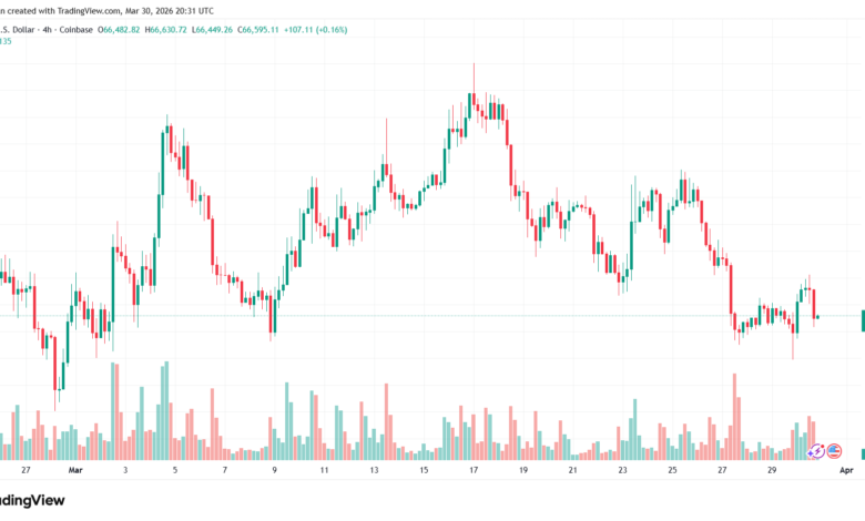 تحليل البتكوين دولار BTCUSD-31-03-2026