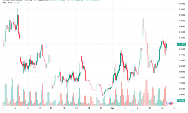 تحليل الغاز الطبيعي NATURAL GAS 13-03-2026