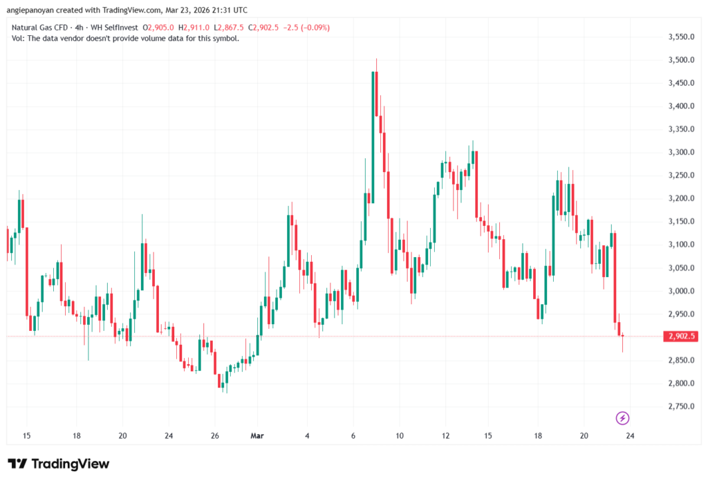 تحليل الغاز الطبيعي NATURAL GAS 24-03-2026
